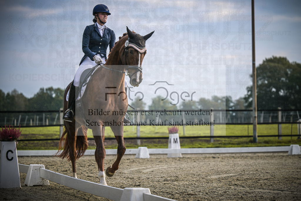 DOS_3053 | Entdecke hochwertige Reitturnierfotos von Foto Oger. Professionell, emotional und authentisch – jetzt Lieblingsmomente im Shop bestellen.Deutschlandweite Turnierfotografie. - Realized with Pictrs.com