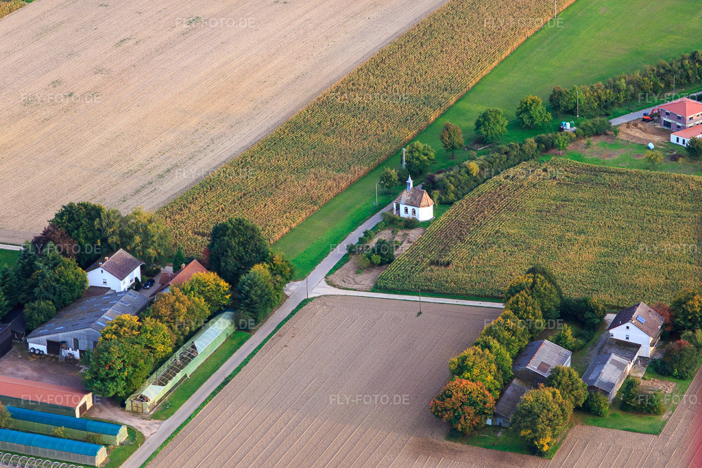 Luftbild: Buchenhof, Herxheimweyher und Arme-Seelen-Kapelle am Knittelsheimer Weg in Herxheimweyher im Bundesland Rheinland-Pfalz in Deutschland. Foto: IMG_103870.jpg vom 01.10.2017 durch Werner Riehm/FLY-FOTO.de