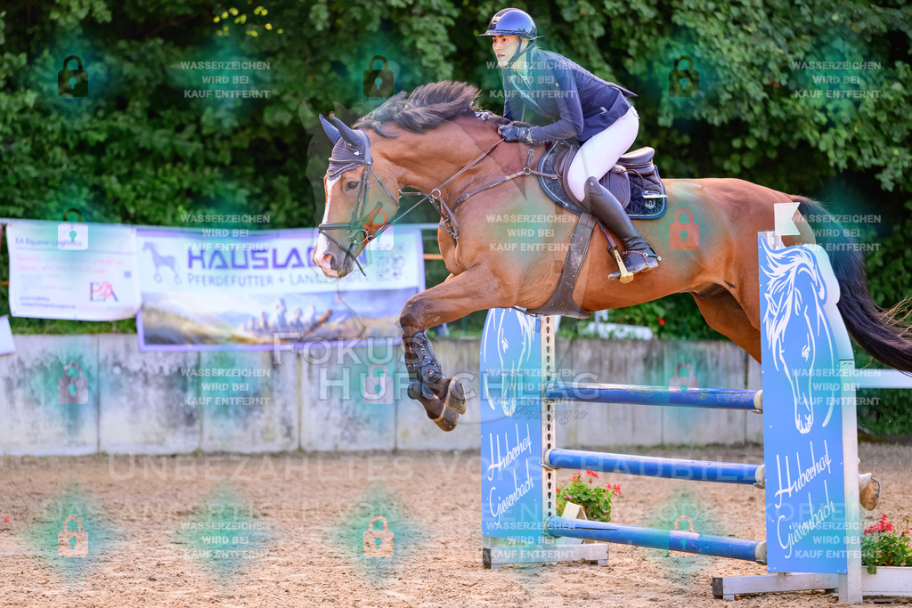 30082026-Giesenbach-Prfg16-0042 | Fokus Hufschlag Fotografie - Realisiert mit Pictrs.com