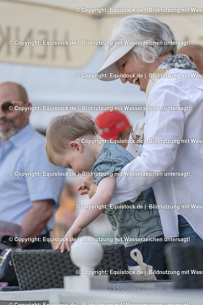 DSC_1375 | equistock