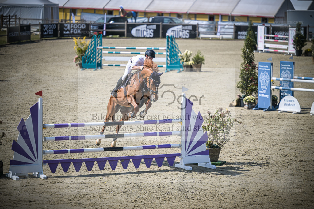 DOS_1142 | Entdecke hochwertige Reitturnierfotos von Foto Oger. Professionell, emotional und authentisch – jetzt Lieblingsmomente im Shop bestellen. - Realisiert mit Pictrs.com