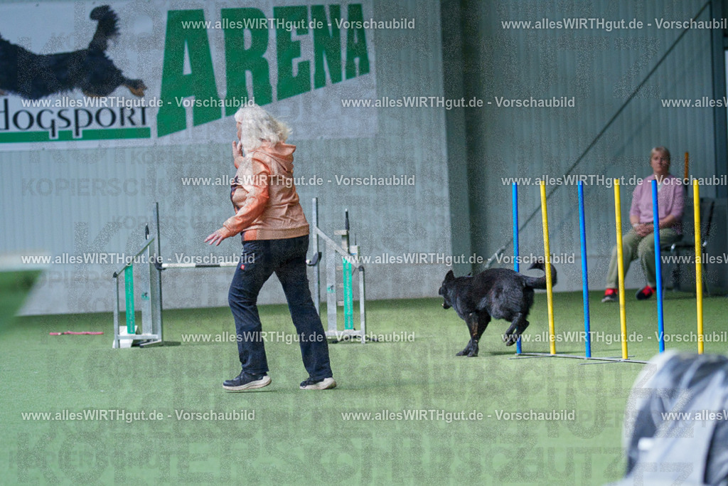 @allesWIRTHgut_Tierfotografie - www.allesWIRTHgut.de - 2604251346-7R503978 | Professionelle Tierfotografie in Mönchengladbach von Daniel Wirth (allesWIRTHgut). Liebevolle & natürliche Bilder von Hunden & Katzen für unvergessliche Erinnerungen.