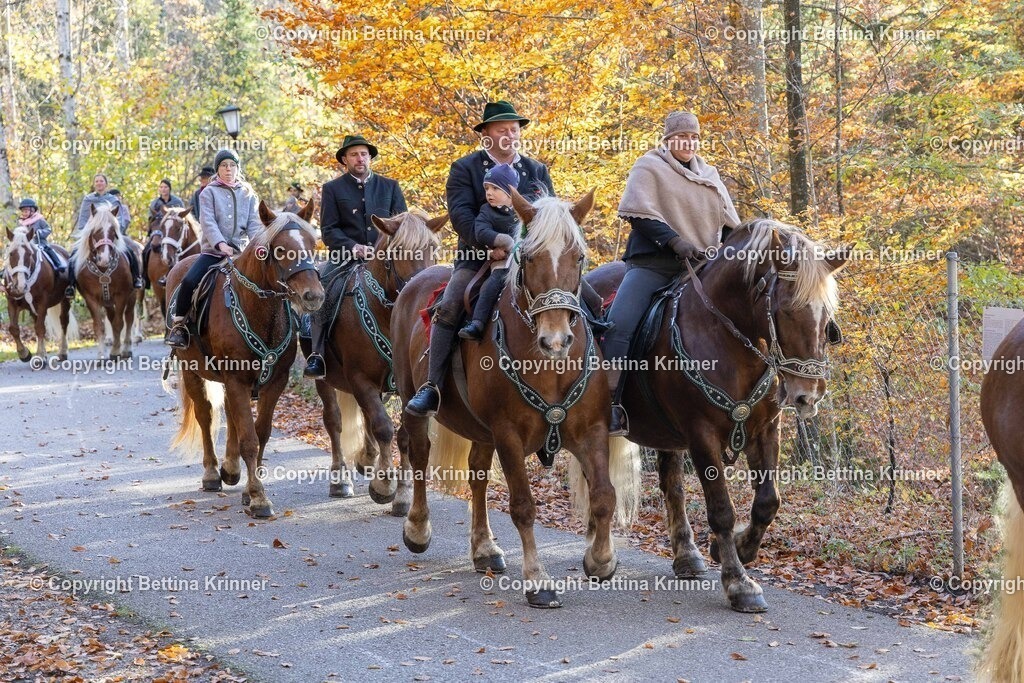 LL24-302 | foto-bettina-krinner - Realisiert mit Pictrs.com