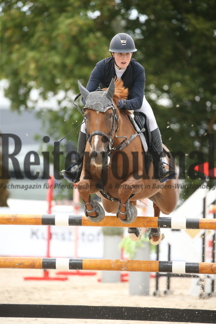 Villingendorf_2022_Prfg.Nr.12_zwei Phasen_Springprfg.Kl.M_Amateur-Tour_Lara-Sophie Strohm_Nectarine V.D (3) | Alle Fotos der Reiterjournal Fotografin Doris Matthaes im Reiterjournal Online-Fotoshop. - Realizado com Pictrs.com
