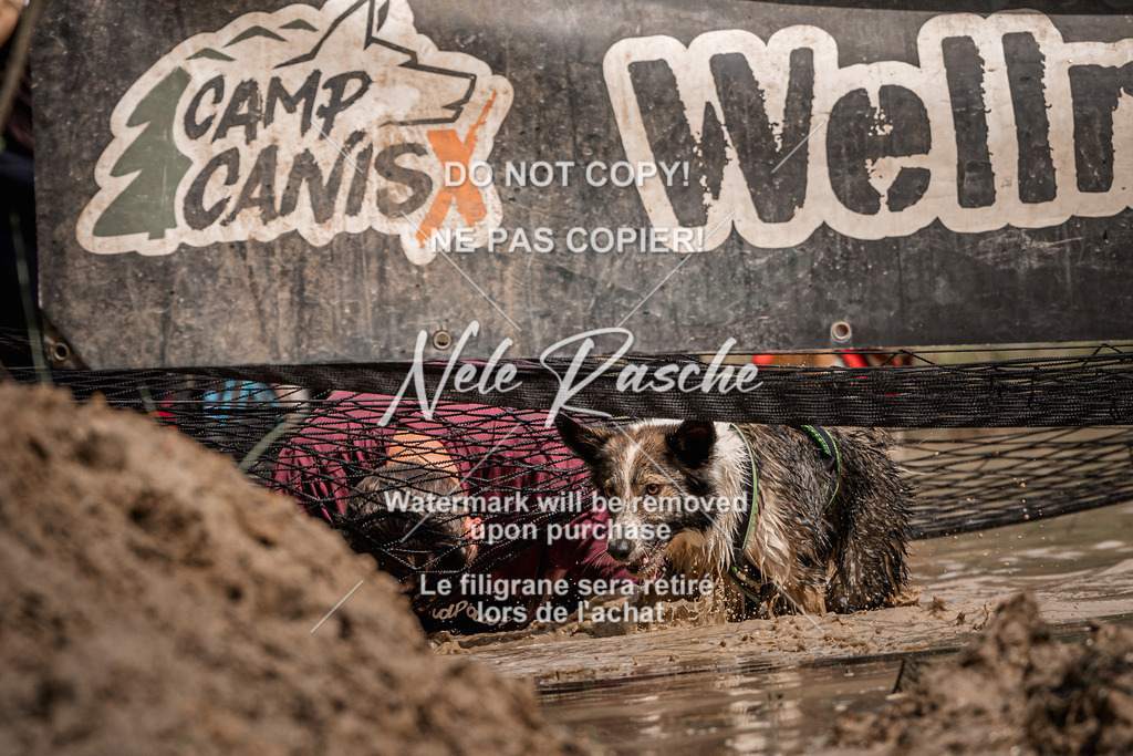 nelerasche_Hoope2026_Sa1100-1130_149 | nelerasche