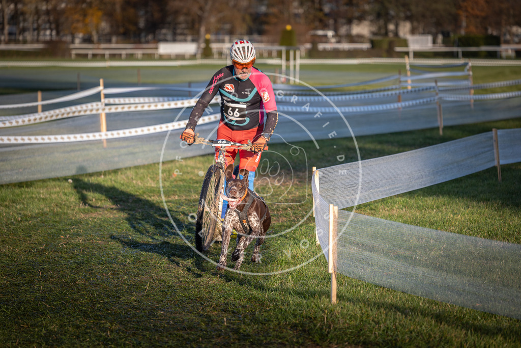 CaniXpix_0L8A3231 | Hundefotografie, Tierfotograf, Pfotenfotografie, Fotoshooting Hund, Hunde Portrait, Hundesport, Hundeportraits, Heideshooting, Hunde, Sportfotograf, Hundefotograf, Turnierhundsport, THS,  - Realisiert mit Pictrs.com
