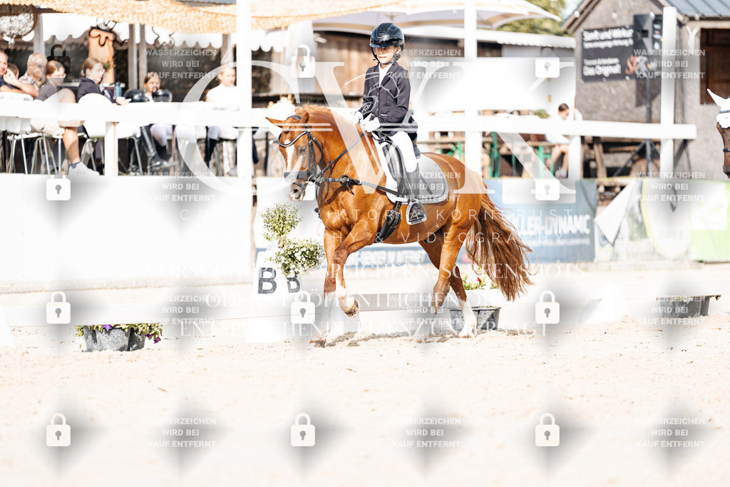 CK905284 | Turnierfotografie Pferdefotografie Trier Rheinland-Pfalz Pferdesport Reitsport Tierfotografie Sportfotografie Pferdevideo Pferdevideografie Equestrianvideography equestrianphotography  - Realisiert mit Pictrs.com