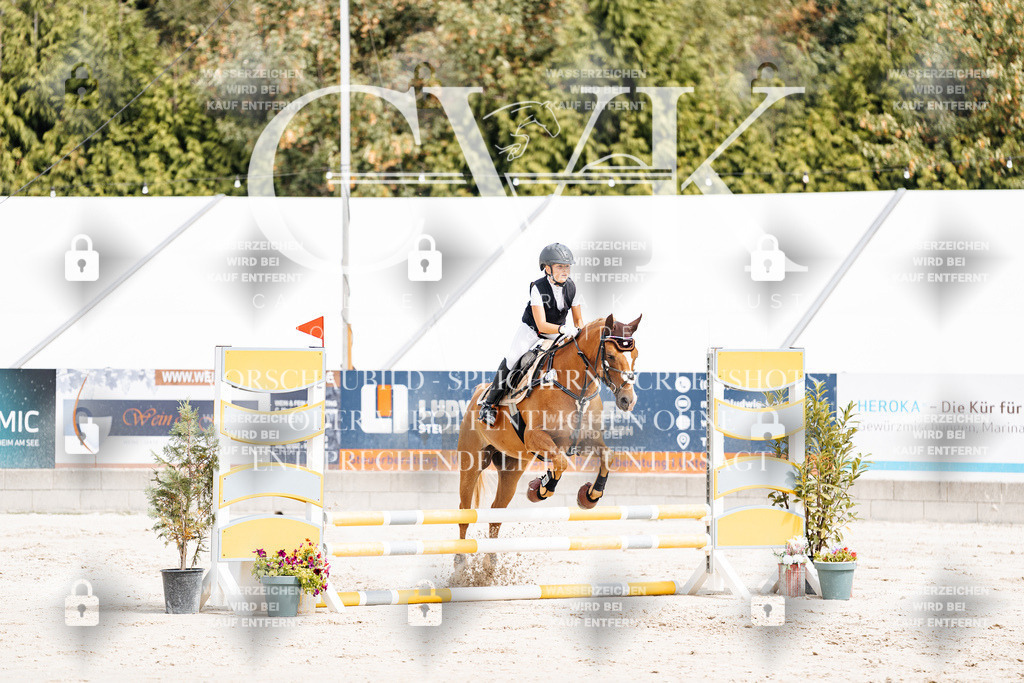 CK906310 | Turnierfotografie Pferdefotografie Trier Rheinland-Pfalz Pferdesport Reitsport Tierfotografie Sportfotografie Pferdevideo Pferdevideografie Equestrianvideography equestrianphotography  - Realisiert mit Pictrs.com