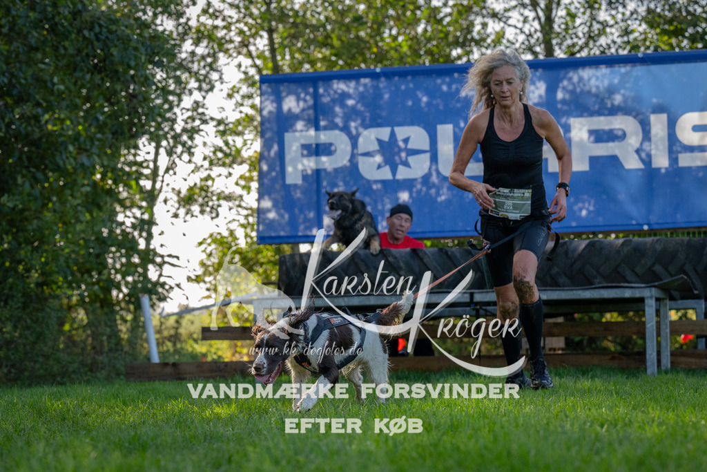 1129-92116 | kk-dogfotos