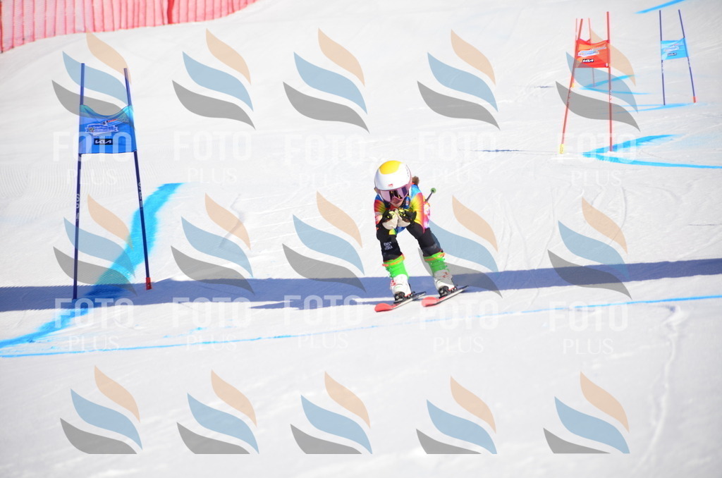 VR4_8496 | holidayphoto