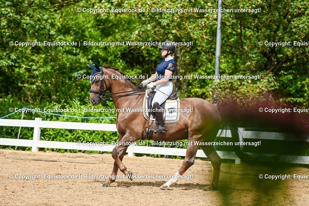 20230716_01_Dressurprüfung Kl.M_0366 | equistock