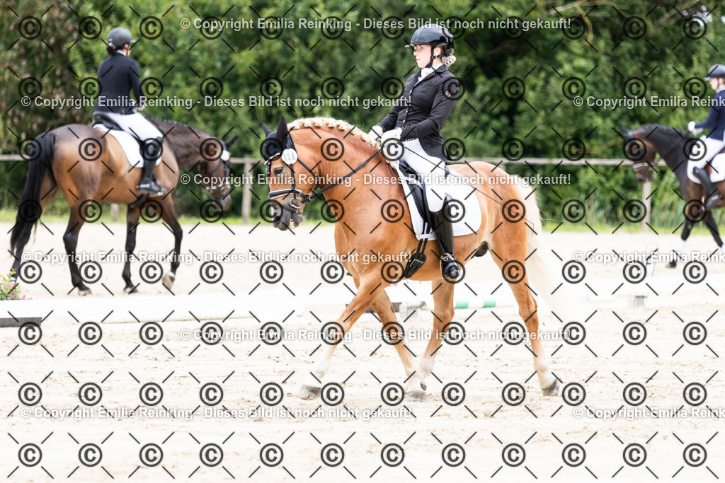 CL5A3046 | Emilia Reinking Fotografie - Realisiert mit Pictrs.com