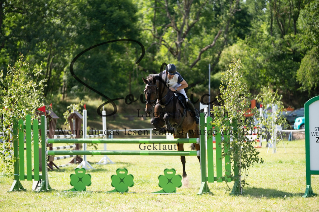 A7V06602 | Pferdefotograf