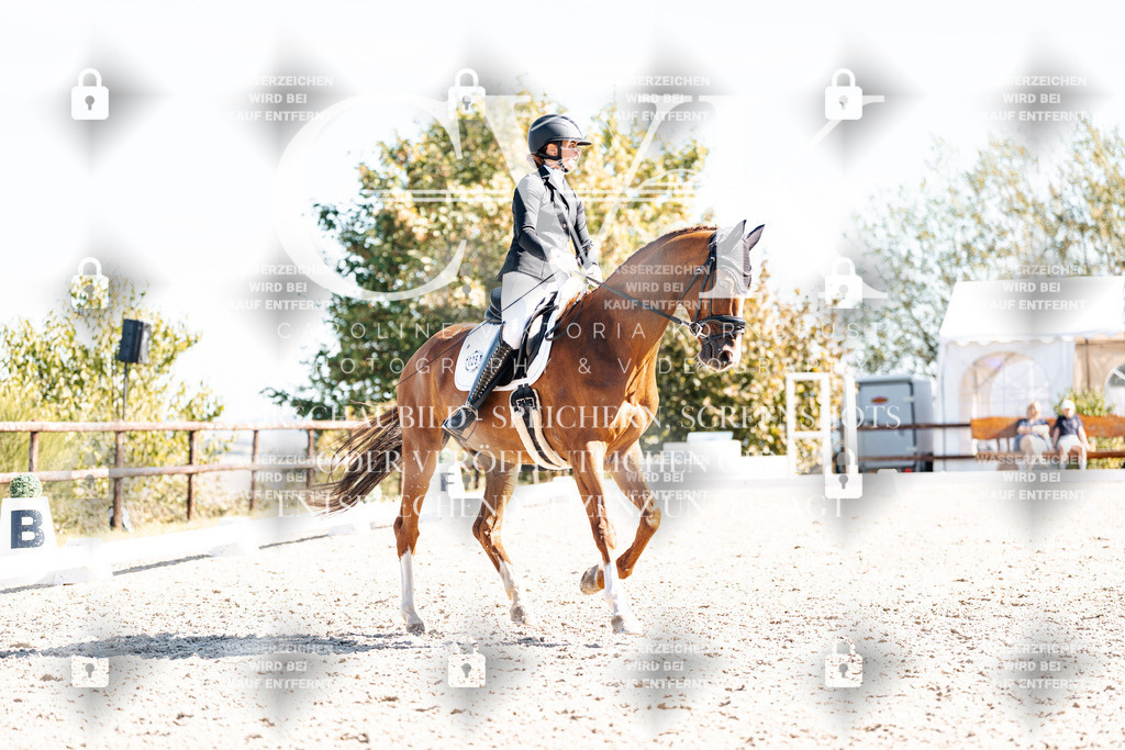 CK909174 | Turnierfotografie Pferdefotografie Trier Rheinland-Pfalz Pferdesport Reitsport Tierfotografie Sportfotografie Pferdevideo Pferdevideografie Equestrianvideography equestrianphotography  - Realisiert mit Pictrs.com
