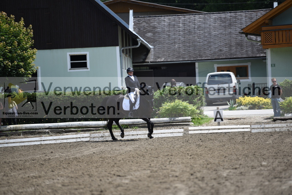 DSC_1342 | equestrian-live-com