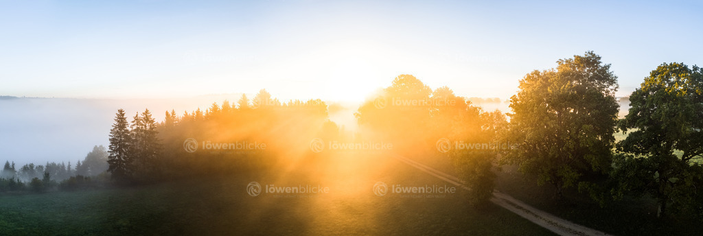 Ostalb bei Altheim im Nebel | löwenblicke | shop