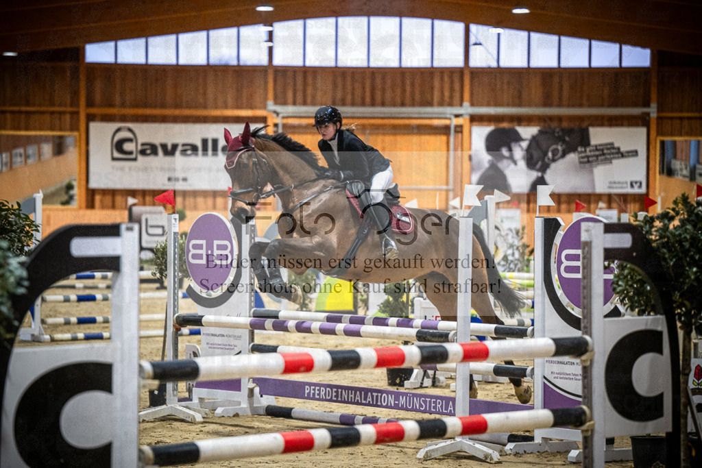 DOS_0360 | Entdecke hochwertige Reitturnierfotos von Foto Oger. Professionell, emotional und authentisch – jetzt Lieblingsmomente im Shop bestellen.Deutschlandweite Turnierfotografie. - Realisiert mit Pictrs.com