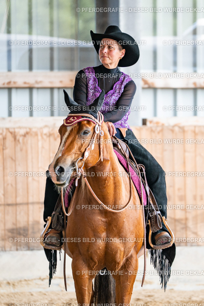 DSC09368 | Pferdegrafie