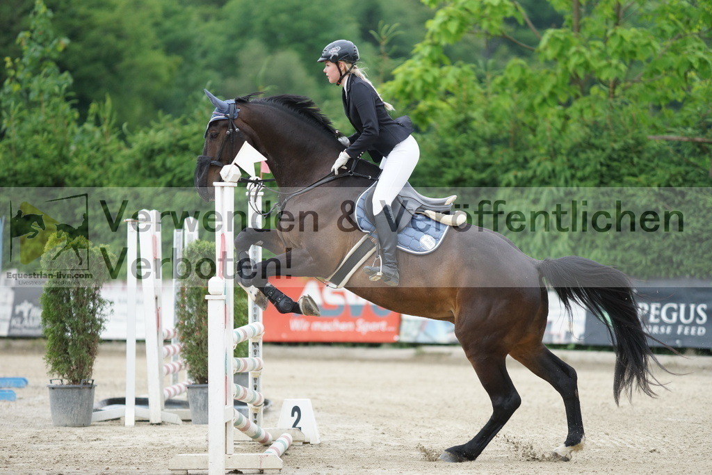 DSC07592 | equestrian-live-com