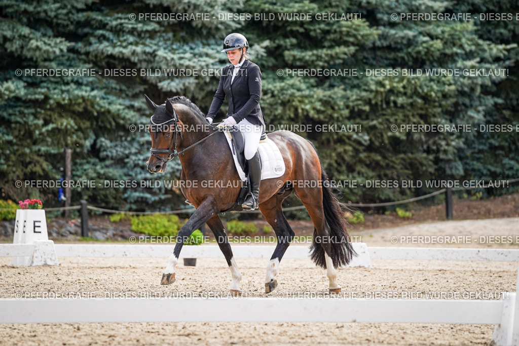 DSC08111 | Pferdegrafie