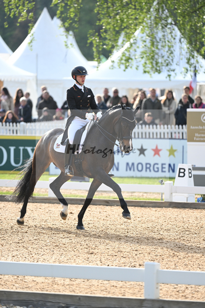 Netz_Great Escape_Camelot_11232963 | hf-fotografie - Realisiert mit Pictrs.com