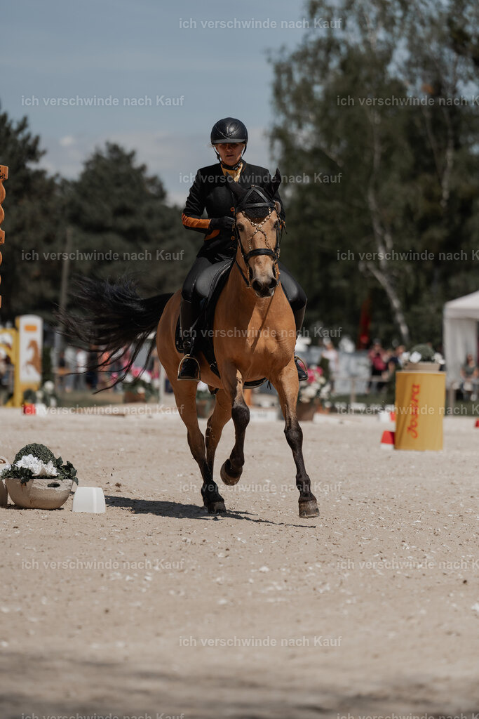 WE_ST_Stoib_319_PI2025_1278 | Pferd International München 2025