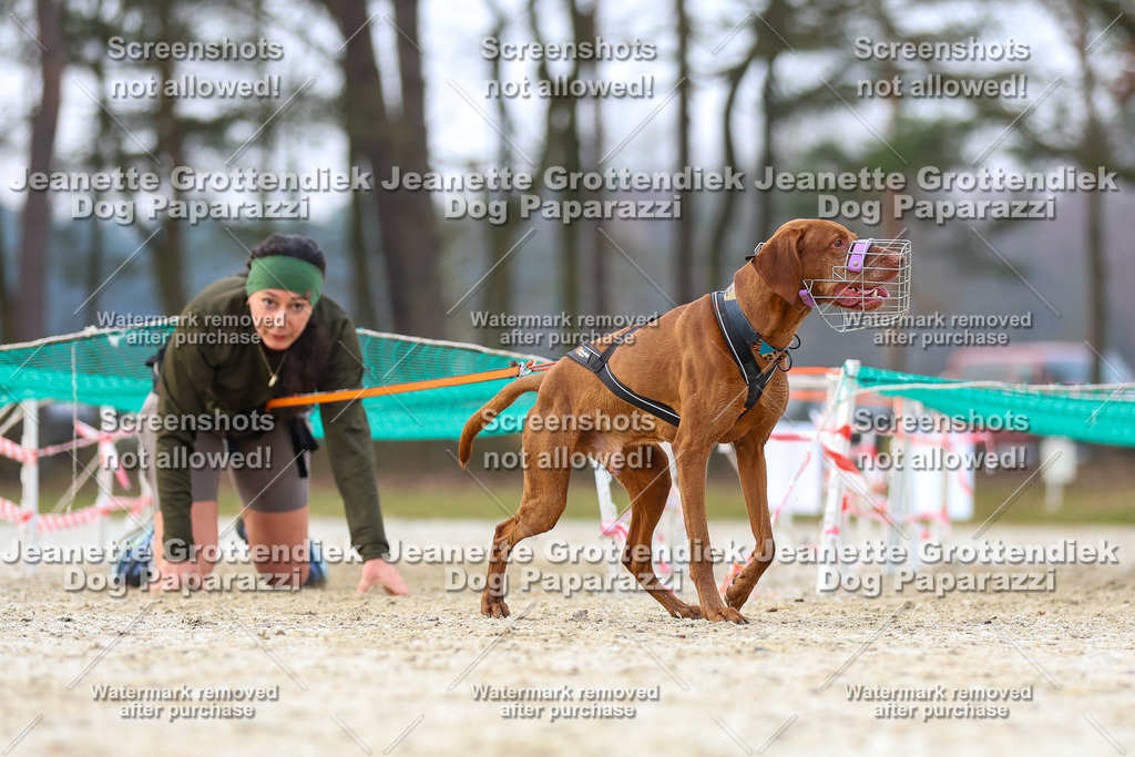 Dog Paparazzi - Strongdog North Mrz26-3971 | Dog Paparazzi Jeanette Grottendiek Fotografie & Videografie - Realisiert mit Pictrs.com