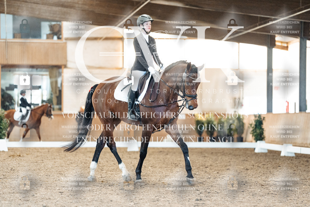 CK908043 | Turnierfotografie Pferdefotografie Trier Rheinland-Pfalz Pferdesport Reitsport Tierfotografie Sportfotografie Pferdevideo Pferdevideografie Equestrianvideography equestrianphotography  - Realisiert mit Pictrs.com