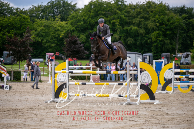 IMG_5650 | Turniersportfotografie; Pferdefotografie; Dressurfotografie