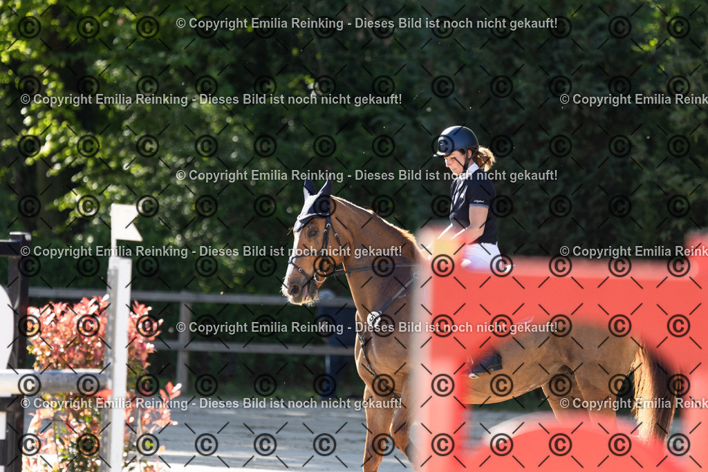 CL5A3378 | Emilia Reinking Fotografie - Realisiert mit Pictrs.com