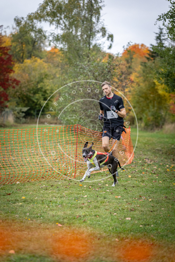 Pfotenfotografie_DV3A1641 | Hundefotografie, Tierfotograf, Pfotenfotografie, Fotoshooting Hund, Hunde Portrait, Hundesport, Hundeportraits, Heideshooting, Hunde, Sportfotograf, Hundefotograf, Turnierhundsport, THS,  - Realisiert mit Pictrs.com