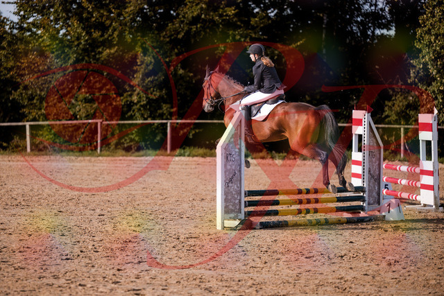 2026_10_03_Siefer-Hof_161012_Z81_89513017 | Professionelle Reitsport-, Turnier- und Eventfotografie von Robert Broda. Galerien mit ausgewählten und bearbeiteten Bildern direkt online ansehen und bestellen.