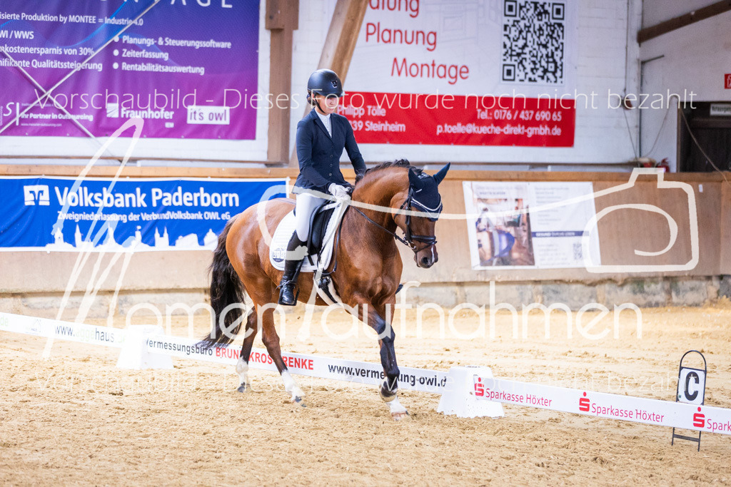 Sth-A-Dre-2St-225 | MomenTaufnahmen Pferdesportfotos