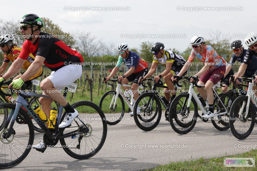 368A4811 | Neusiedlersee Radmarathon 2026@sportshot_your_pictrs #yourpictures#roadtowm2029 #nrm #neusiedlerseeradmarathon #neusiedlersee #neusiedlerseetourismus #burgenland #mörbisch #nrm26 #burgenlandtourismus #voglundco #poweredbyburgenlandtourismus #radsport #rad #marathon #ucigranfondo #visitburgenland #ucigranfondoworldseries