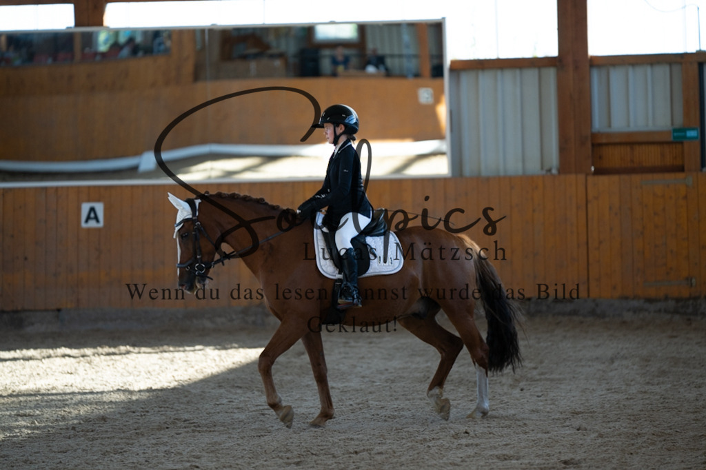 A7V01703 | Turnier/Reitfotograf