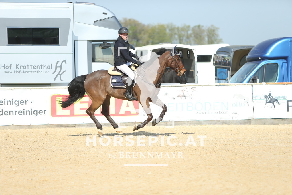 DL2Q0577 | Willkommen bei Brunnmayr - Design & Fotografie – Ihrem Spezialisten für Reitturniere und Pferdeveranstaltungen in Oberösterreich, Salzburg und Bayern! Seit über 17 Jahren sind wir leidenschaftlich dabei.