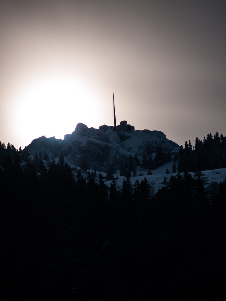 PSX_20230119_232308 | OLYMPUS DIGITAL CAMERA - Realisiert mit Pictrs.com