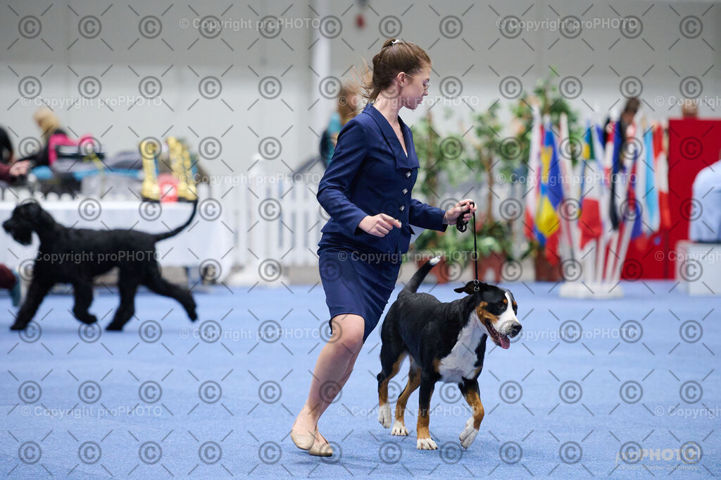 202406_ÖKV-IHA-Tulln24_DSC_3293 | proPHOTO - Realisiert mit Pictrs.com