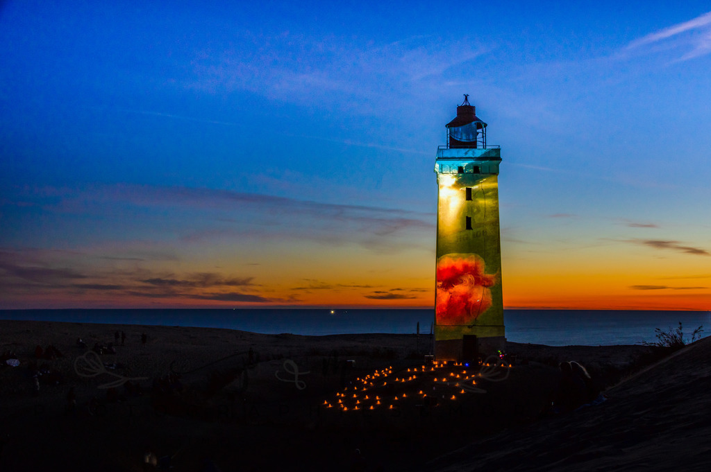 Lighthouse 1483 | Motiv Feuerqualle - Realisiert mit Pictrs.com