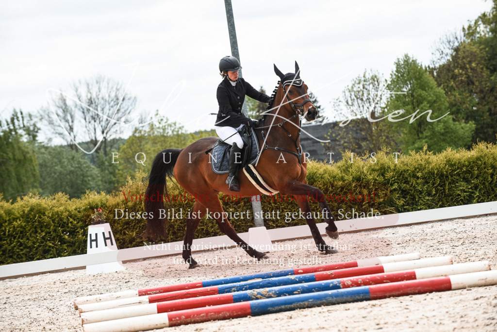 20230518_JK-Röhrsdorf-10-340 | Pferde- und Turnierfotografie in Westsachsen. Pferdeportraits, Auftragszeichnungen und intuitive Kunst.