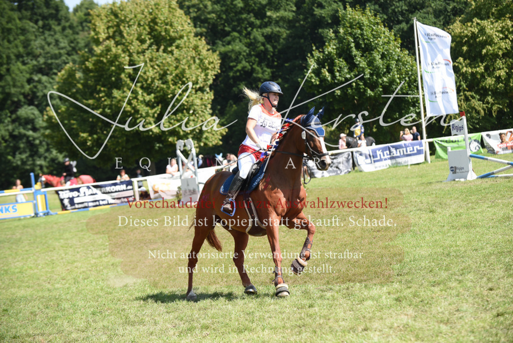 DSC_0334 | Pferde- und Turnierfotografie in Westsachsen. Pferdeportraits, Auftragszeichnungen und intuitive Kunst.