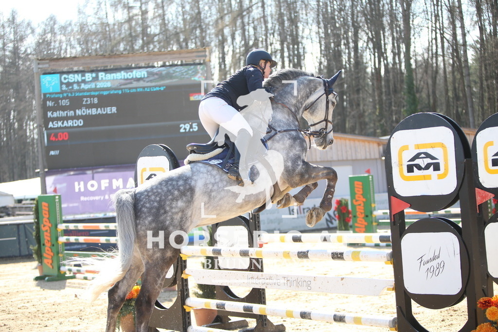 AS8V6095 | Willkommen bei Brunnmayr - Design & Fotografie – Ihrem Spezialisten für Reitturniere und Pferdeveranstaltungen in Oberösterreich, Salzburg und Bayern! Seit über 17 Jahren sind wir leidenschaftlich dabei.