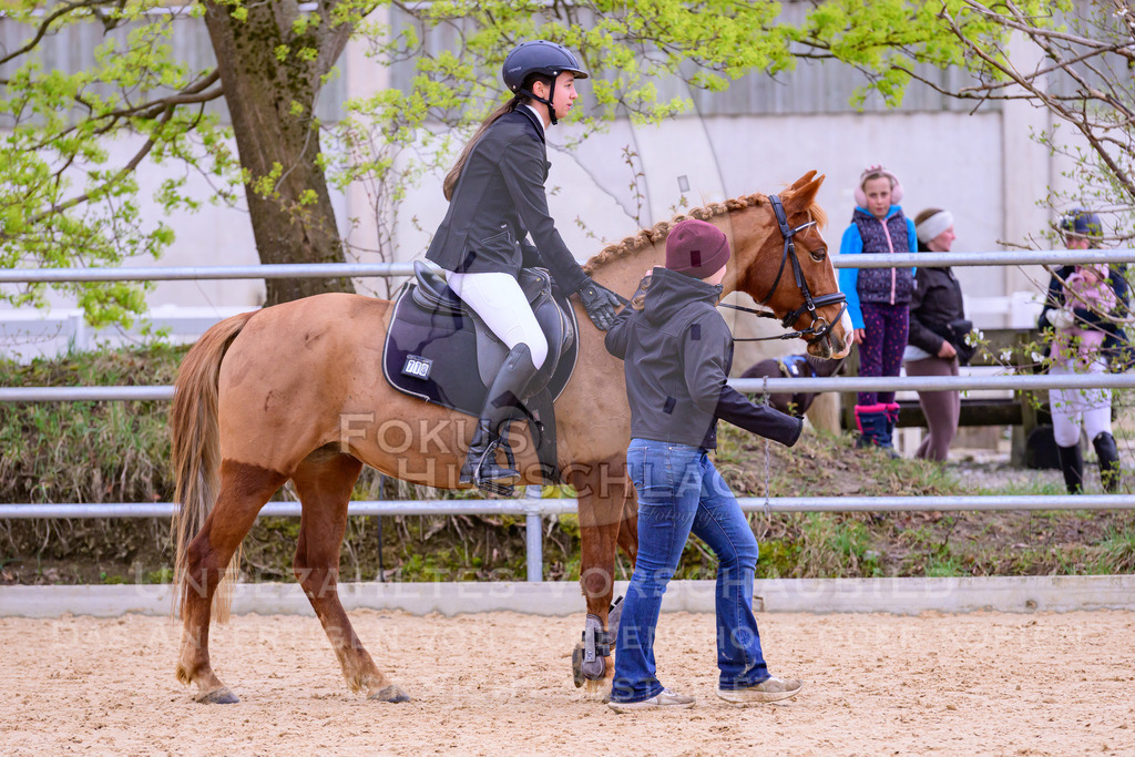 12042026-Mammendorf-Prfg40-0407 | Fokus Hufschlag Fotografie - Realisiert mit Pictrs.com