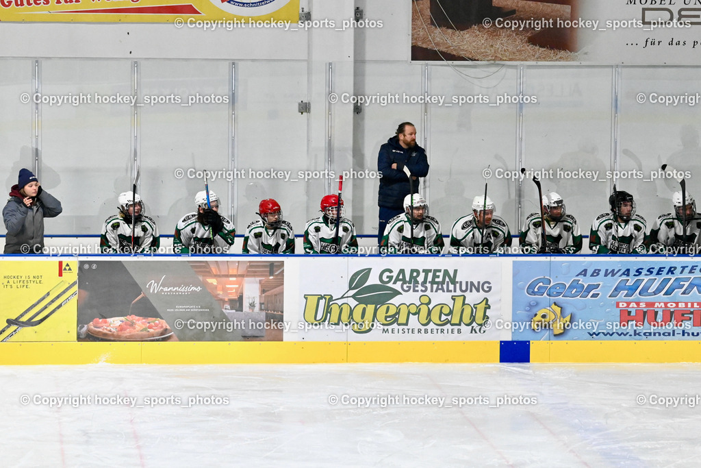 DSG Ledenitzen vs. ELV Zauchen 16.12.2022 | Spielerbank DSG Ledenitzen, Headcoach DSG Ledenitzen WALTER GRUD