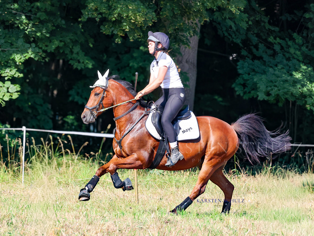 1B3A7884 | Reitsport Reiten