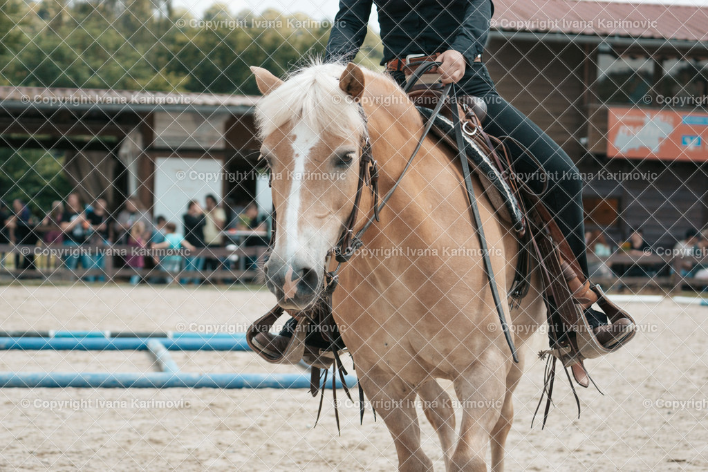 DSC00938 | ikphotography - Realisiert mit Pictrs.com