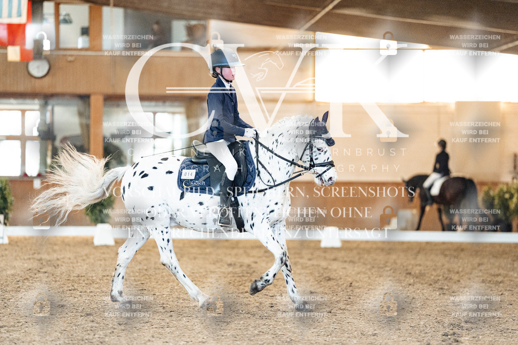 CK906865 | Turnierfotografie Pferdefotografie Trier Rheinland-Pfalz Pferdesport Reitsport Tierfotografie Sportfotografie Pferdevideo Pferdevideografie Equestrianvideography equestrianphotography  - Realisiert mit Pictrs.com