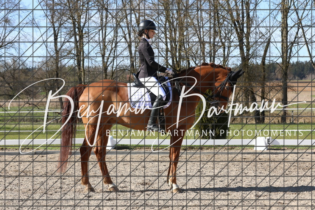 AZ2A5155 | Benjamin Bartmann Photomoments