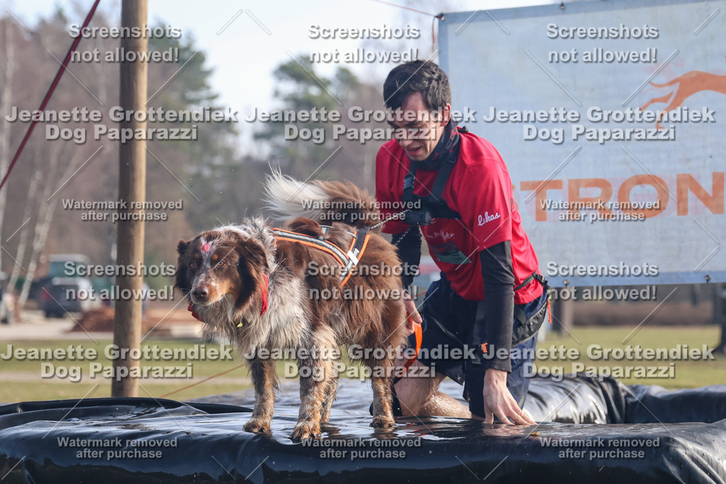 Dog Paparazzi - Strongdog North Mrz26-416 | Dog Paparazzi Jeanette Grottendiek Fotografie & Videografie - Realisiert mit Pictrs.com