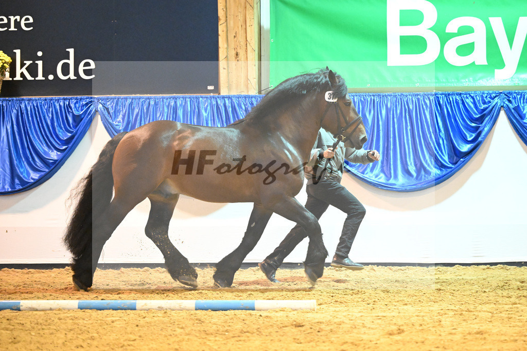 Kat-Nr. 37 Harry_Landgestuet Celle_53221215 | hf-fotografie - Realizzato con Pictrs.com